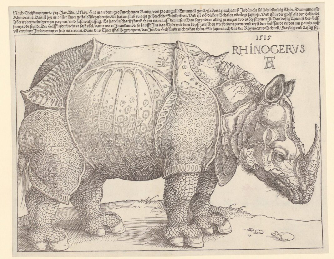 dürer rhinocerus