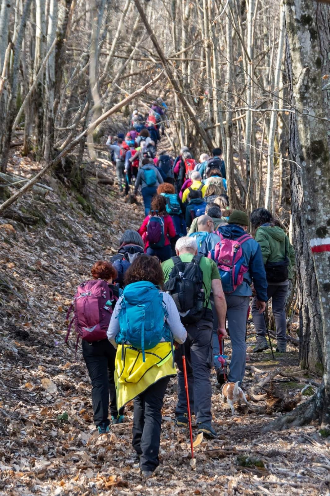 escursionisti de i mondi perduti edizione invernale