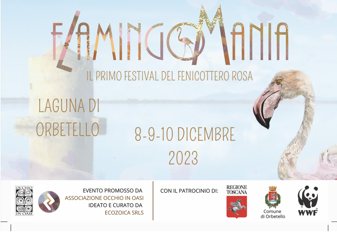 schermata 2023 11 07 alle 19.44.05
