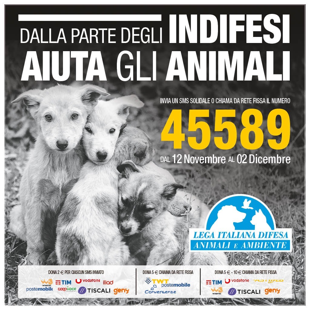 <strong>LEIDAA, FINO AL 2 DICEMBRE INVIA UN SMS SOLIDALE AL 45589 PER SALVARE LA VITA DEGLI ANIMALI INDIFESI</strong>