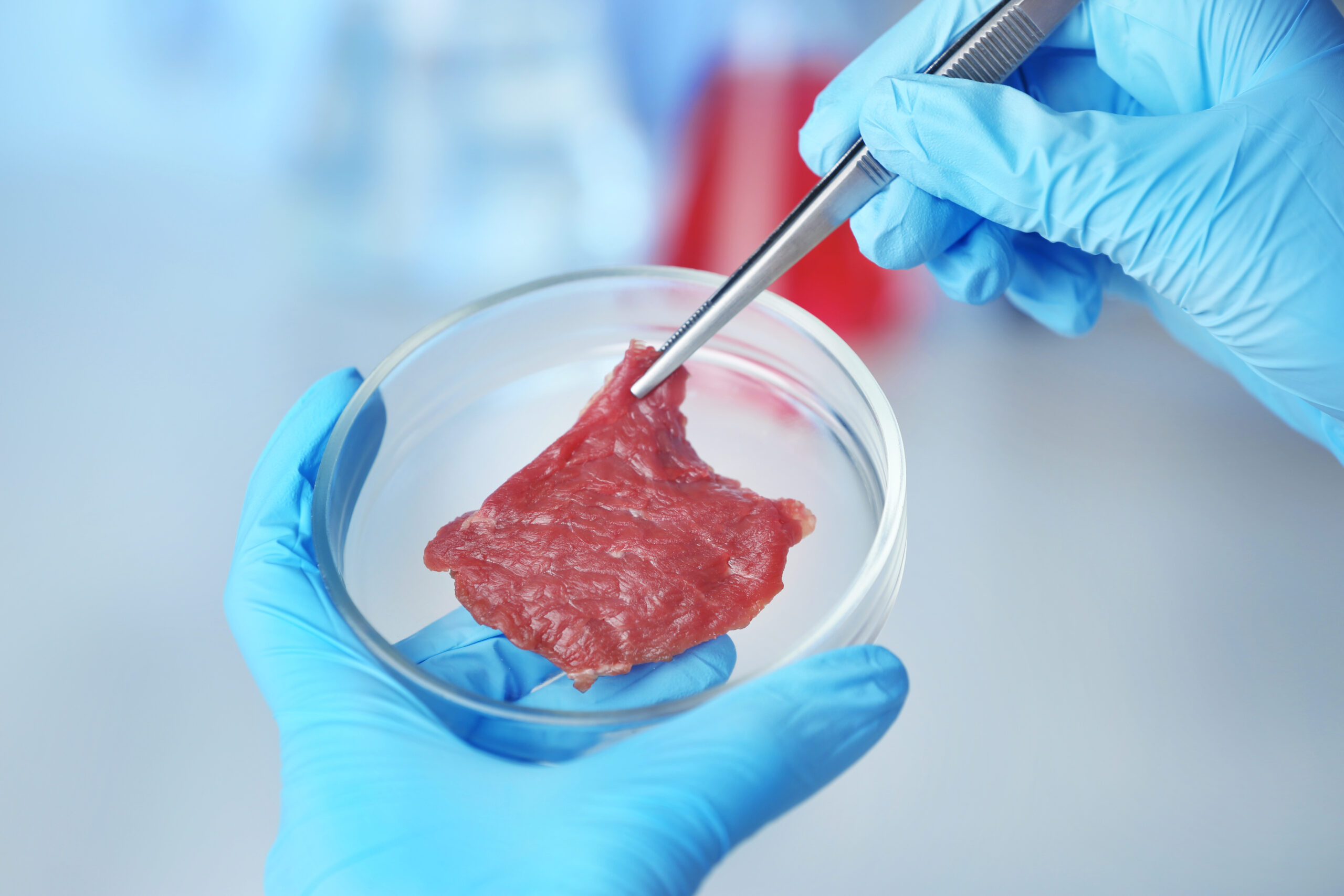 <strong>Carne coltivata: il documento presentato dai ministri dell’Agricoltura di Italia, Austria e Francia è un esempio allarmante di disinformazione  </strong>