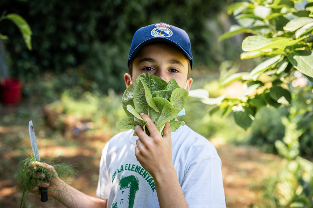 <strong>Domani la Festa degli Orti Slow Food: 35 mila bambine e bambini a lezione di spreco alimentare</strong>