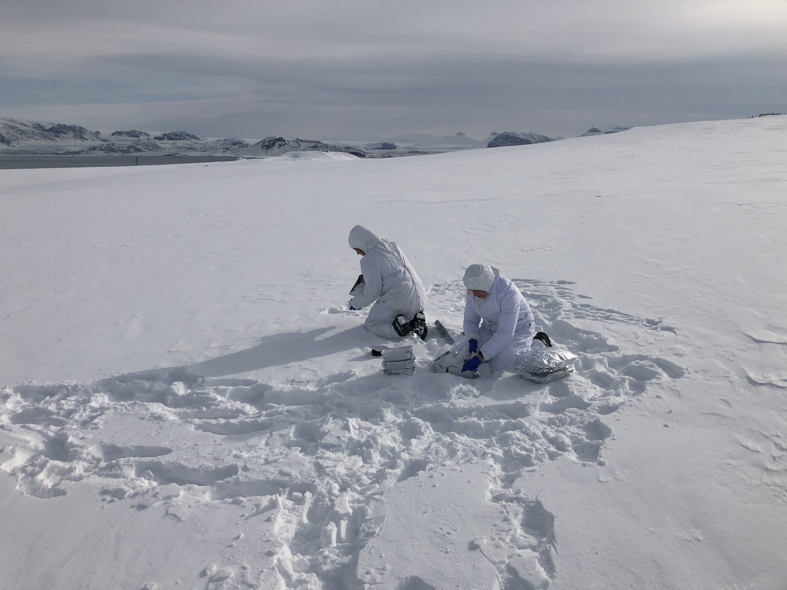 <strong>Tracce di creme solari nelle nevi del Polo Nord</strong> 