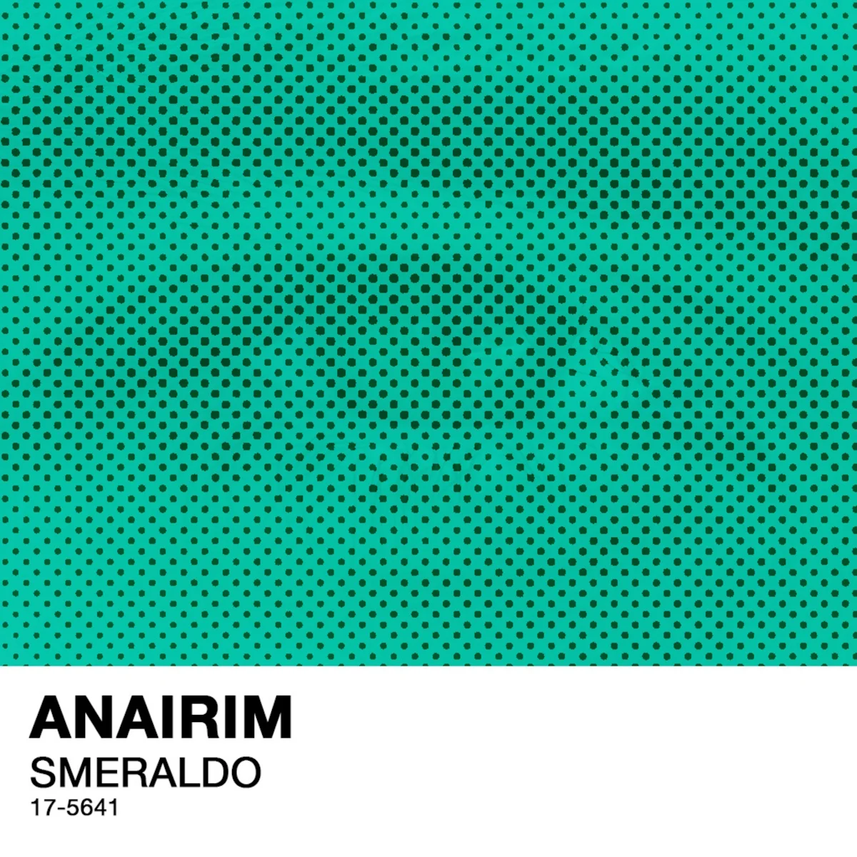 <strong> ANAIRIM: dal 19 gennaio in radio il nuovo singolo “SMERALDO”</strong>